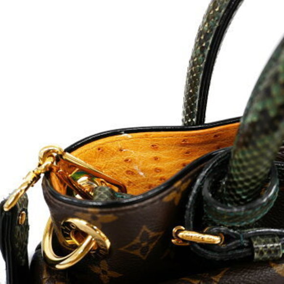 Louis Vuitton Monogram Etoile Exotic MM Python Handbag - Picture 8 of 10